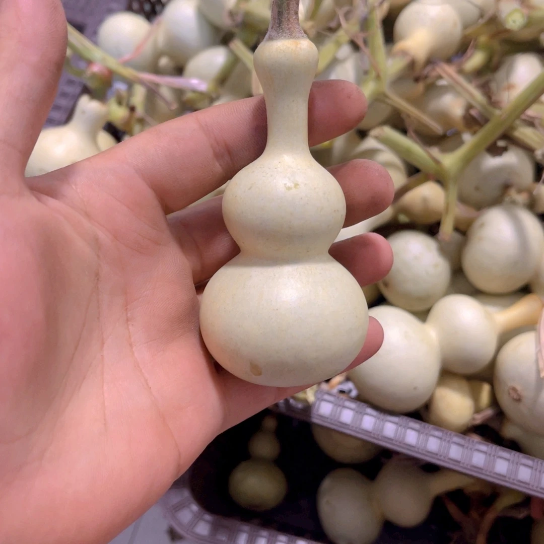 一***柴感谢大哥支持兄弟，不保