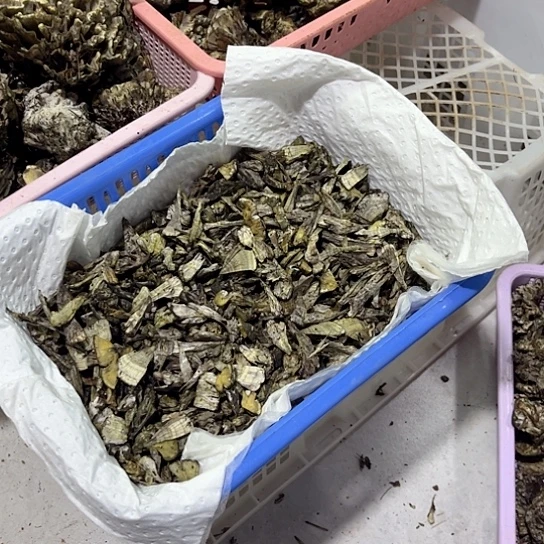 绒***儿干巴菌超好吃中国大陆