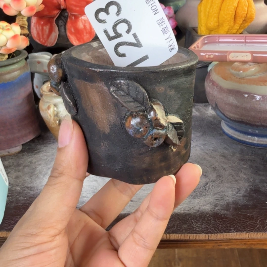 重庆小燕子欢迎大家253