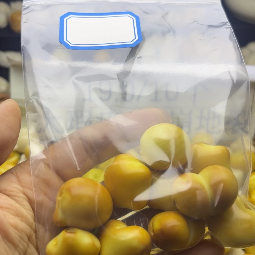 勒***留吊坠菩提根/象牙果大瑕