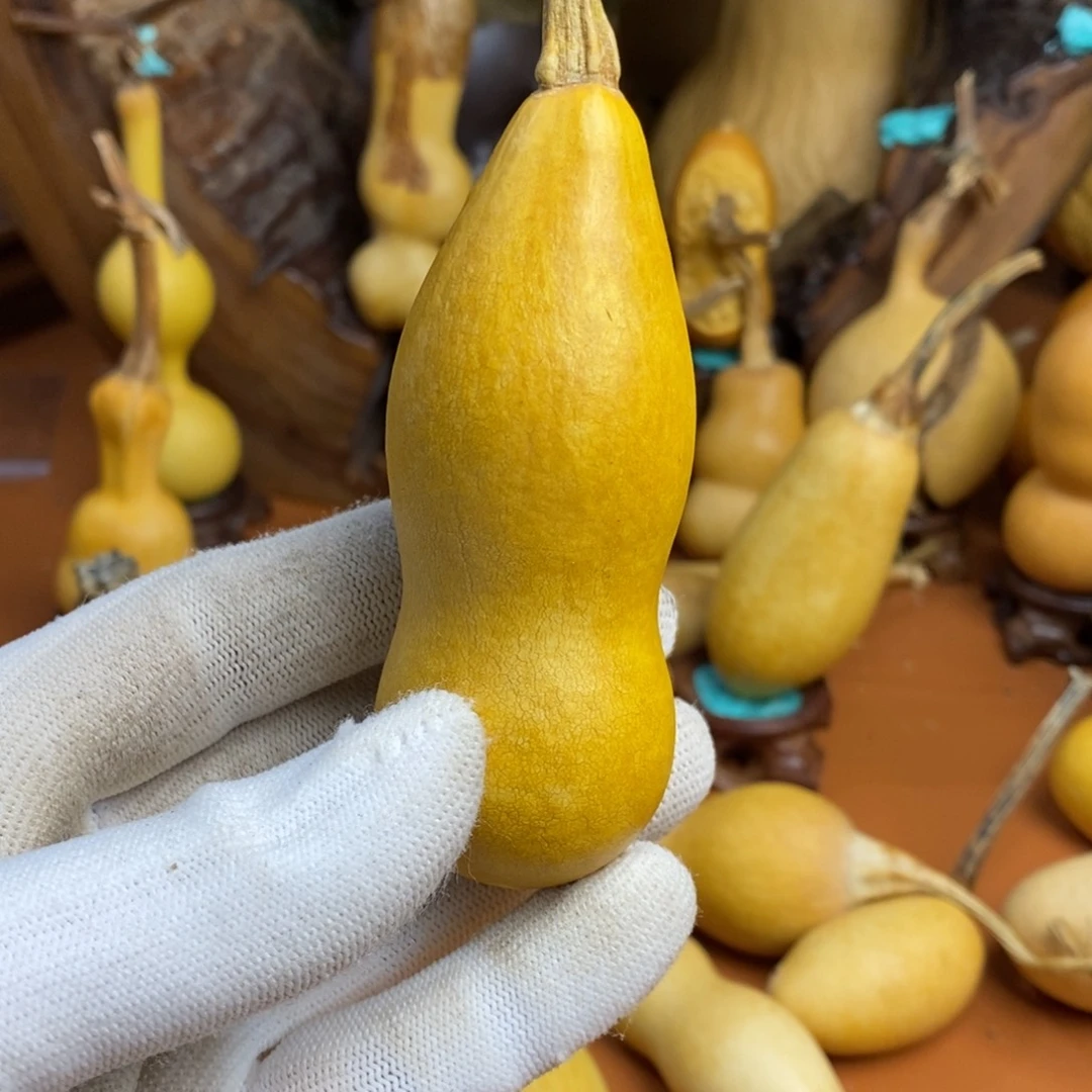 什****兔中介局长呀路途路途