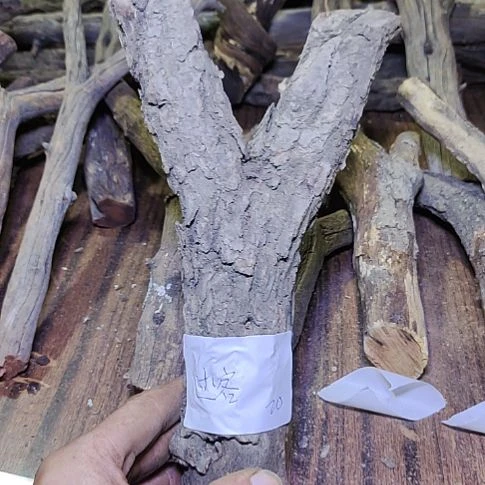 过***客火琉璃原杈，不保沉水，慎拍！