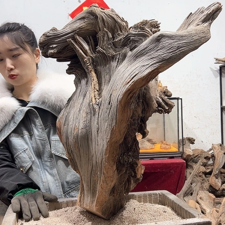 柏木山****号我们的生活就会