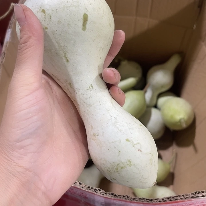 非洲紫檀（红花梨）五**神