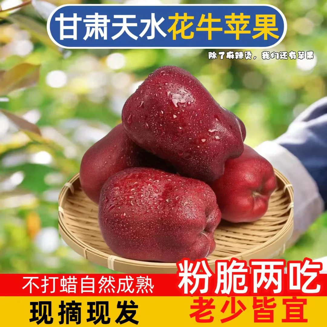 顺丰包邮当季花牛苹果现摘现发甘肃天水新鲜粉面红蛇果适合宝宝