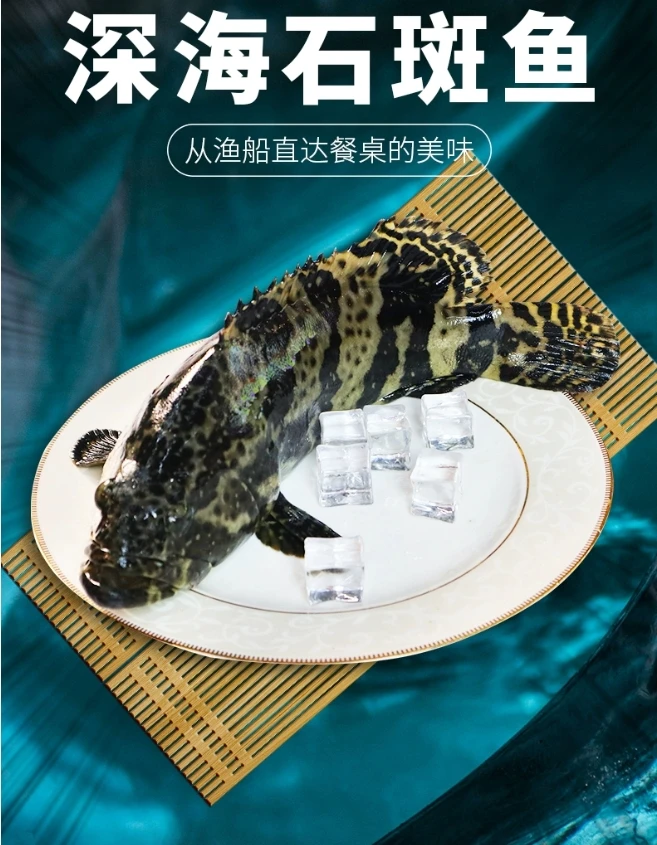 老虎斑（鲜活）600g+默认宰杀