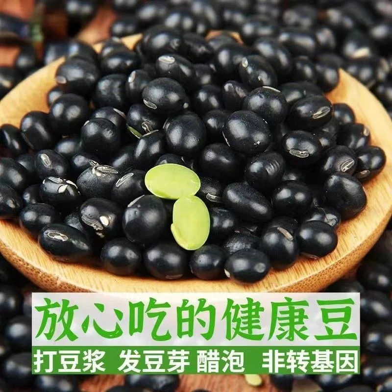 江西于都老百姓黑豆