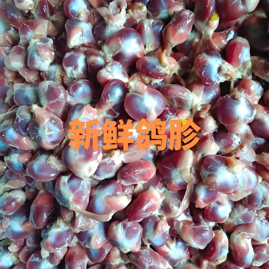 新鲜精选现杀鸽子的胗子+欢迎来品尝吃五谷杂粮虫草的小精华