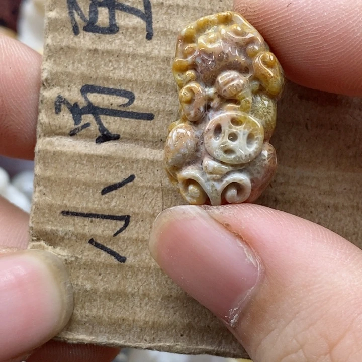 颈饰未镶嵌硅化珊瑚（珊瑚玉）A****y