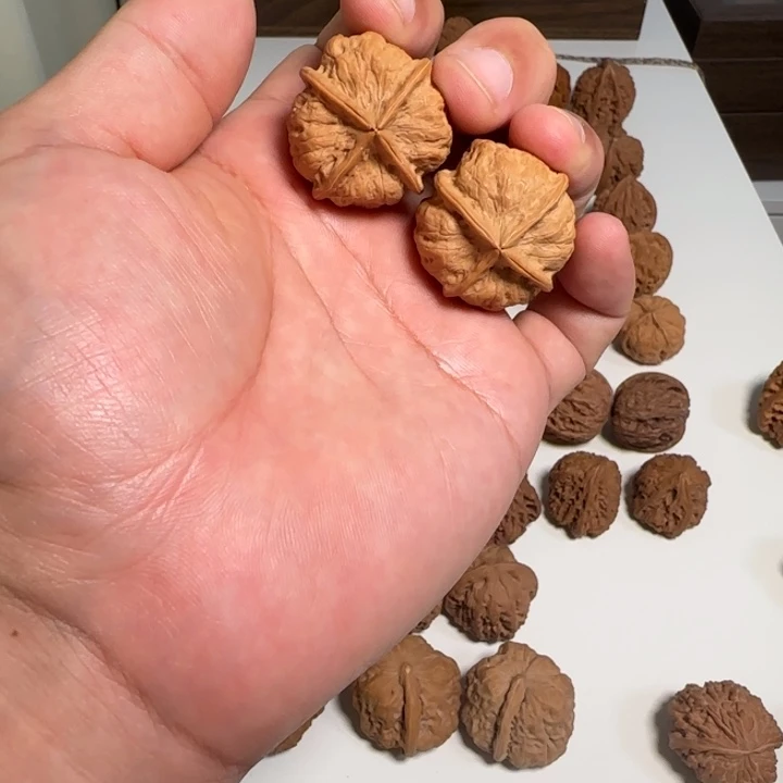 明***白核桃核桃核桃核桃