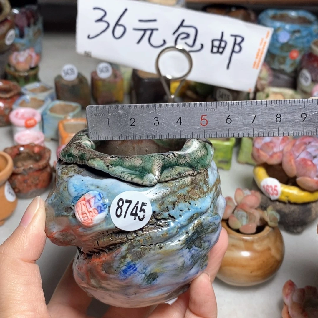 双十一福利不退不换，原99元一个