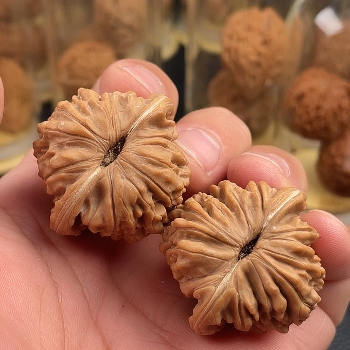 38全品正桩精配对楼