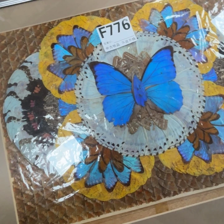 芥***吃版画中古物品不退换776