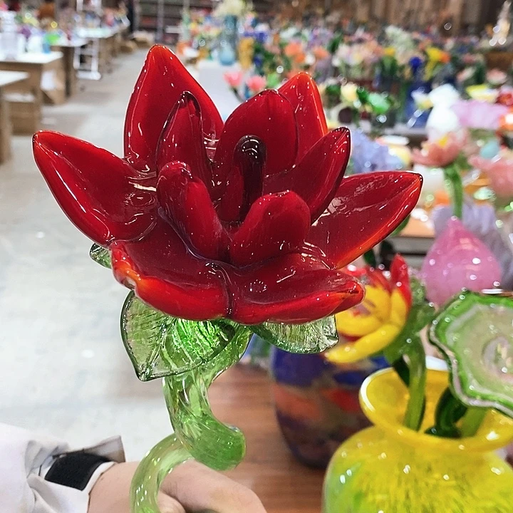 素***裳荷花好看漂亮好看