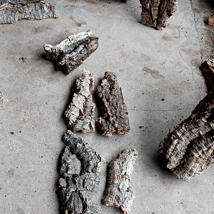 木一物一拍一物一发