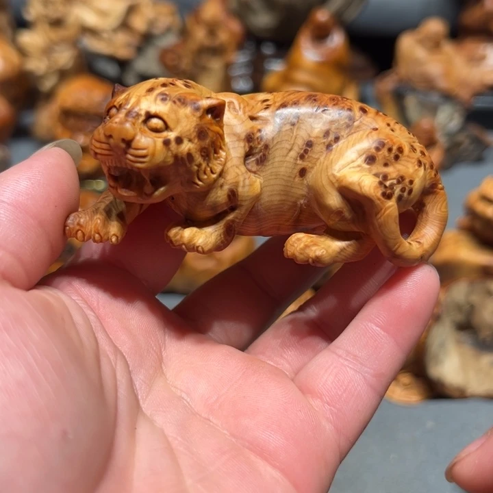 柏木（崖柏）点点关注