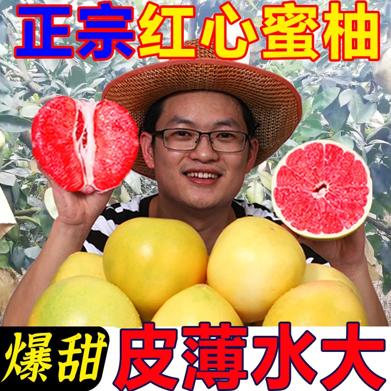 DBL【新鲜红心柚】柚子红心蜜柚福建当季水果皮薄鲜甜多汁红心柚子