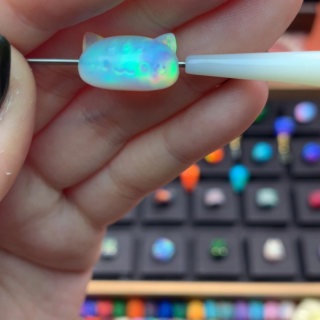 1105豹法棍猫白月光