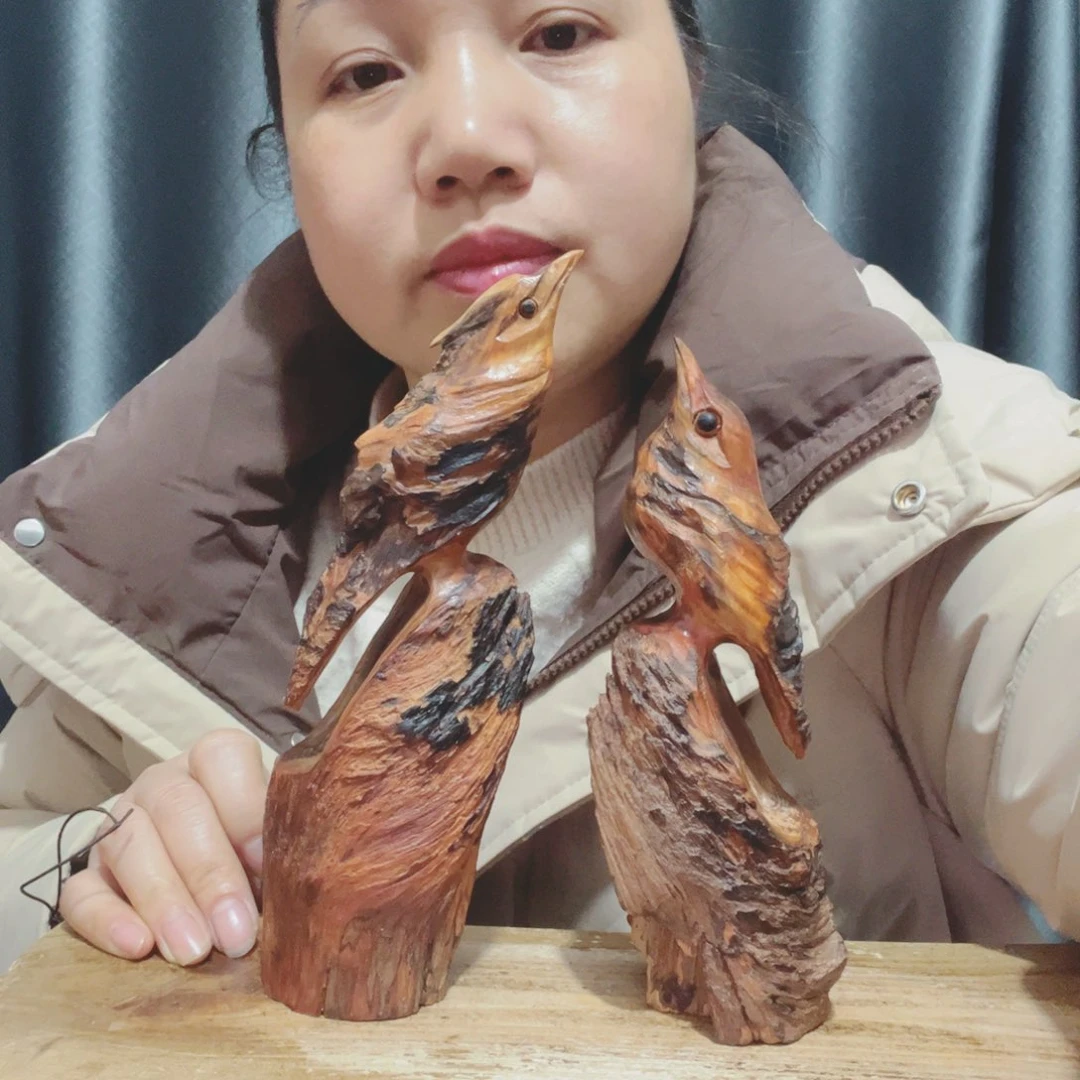 凡*百年树的生长环境