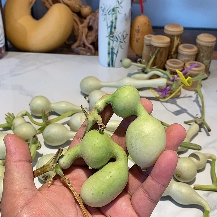 幸**子精品葫芦手把葫芦19
