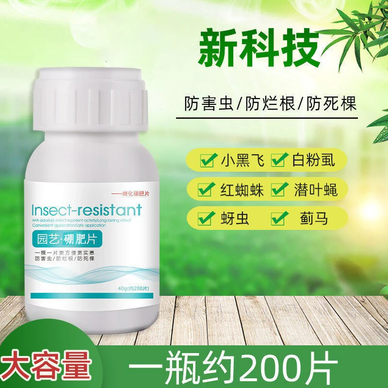 园艺糖化硼肥片施肥秧苗称移载预防移载花卉绿植瓜果蔬菜通用