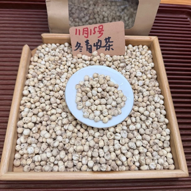 深山川贝母 怀中抱月 核心产区精品贝母 入冬必备 冬青收茶