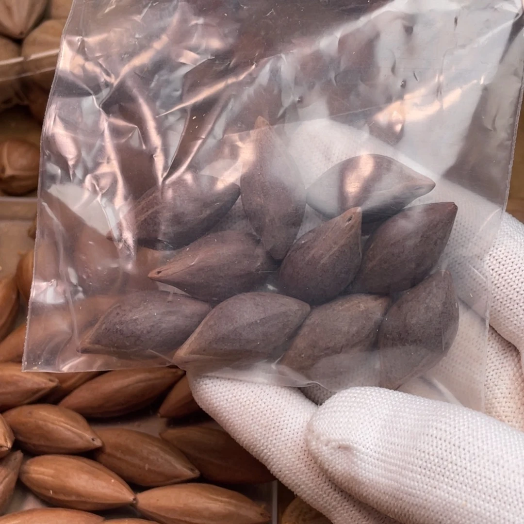 木***木手串/手链橄榄核1