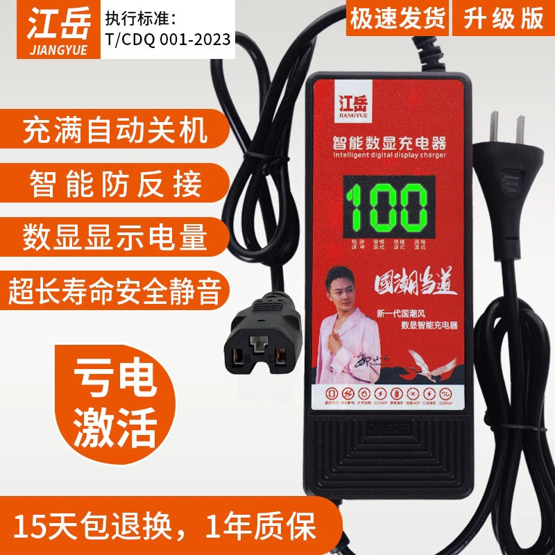 江岳智能断电电动车电瓶大功率充电器48V60V72V20Ah两轮三轮通用