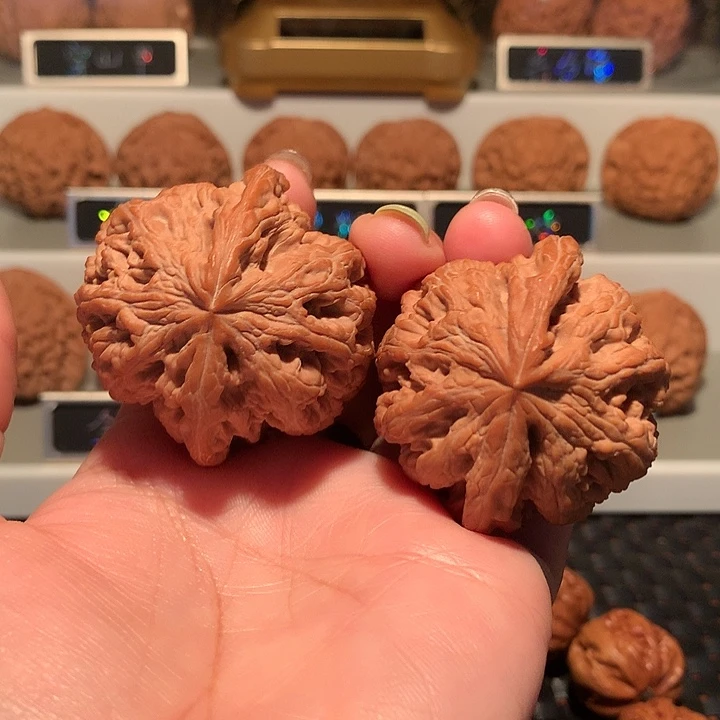 吕***瘦文玩核桃把件粗筋