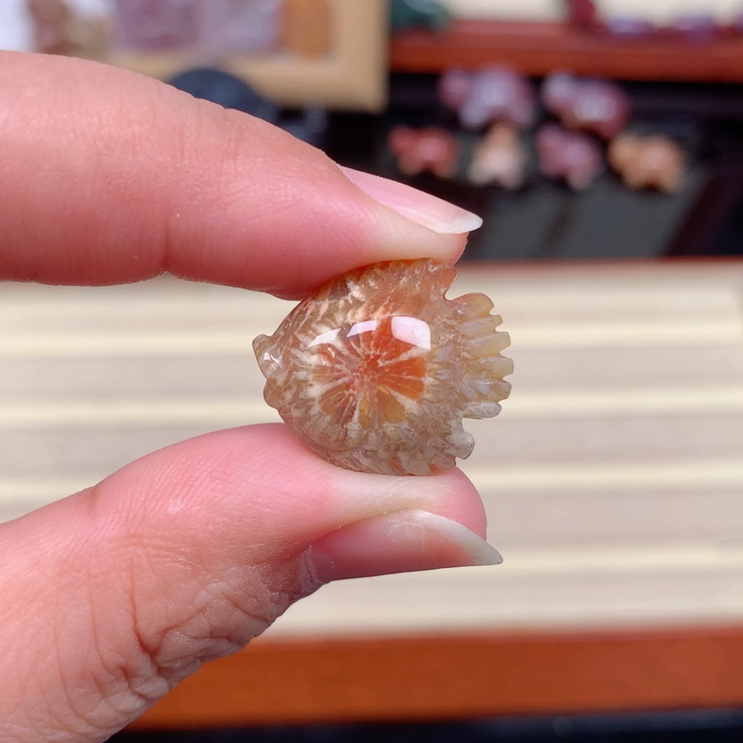 未镶嵌颈饰硅化玉