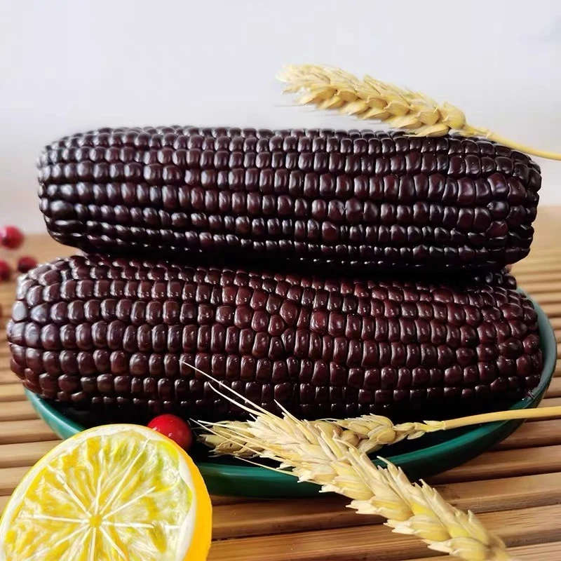 黑珍珠|黑糯玉米 东北粘苞米 香糯拉丝主食