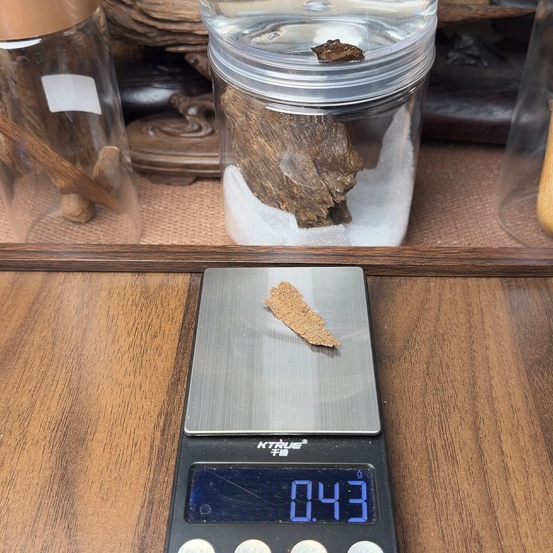 沉香缅甸密支那沉水 0.43g