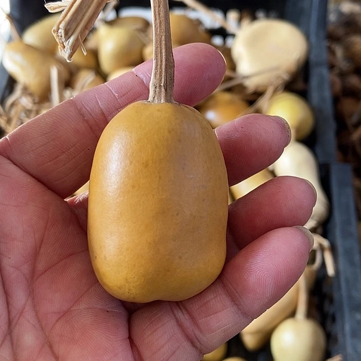 用***光f g h f f g hhj j