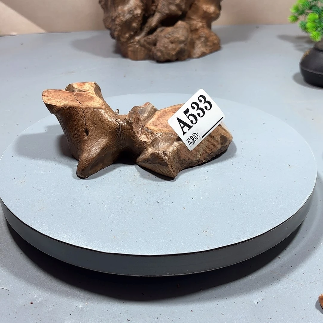 ﹏***暖大果紫檀（缅甸花梨）