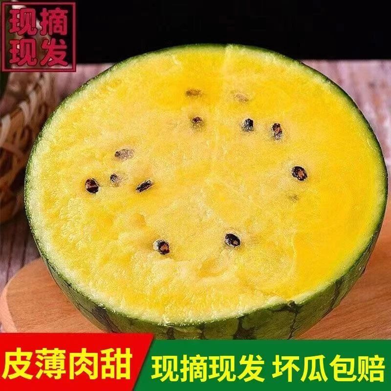 特小凤黄瓤西瓜当季水果大果优选西瓜海南省