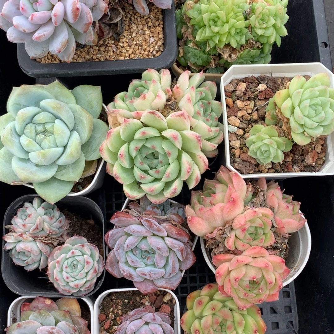 1103-67 套餐一组