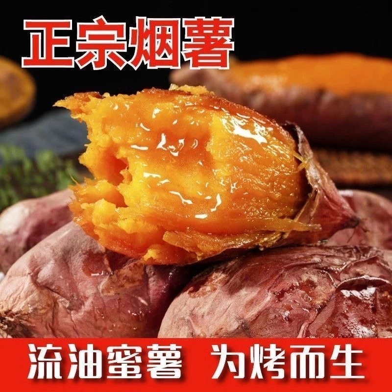 山东烟薯25号新鲜糖心红心蜜薯沙地番包邮10斤农家自种红薯烤地瓜