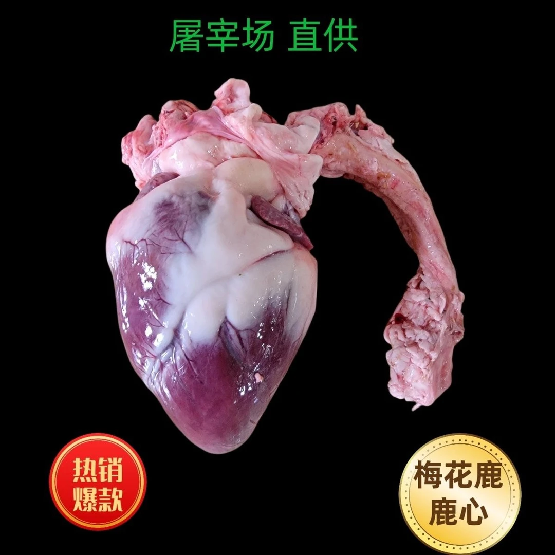 梅花鹿心正宗整只新鲜可用于炖汤红烧卤菜营养生鲜