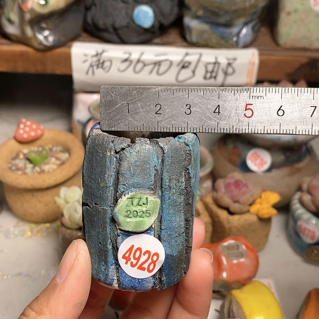 红陶拍5送一个小