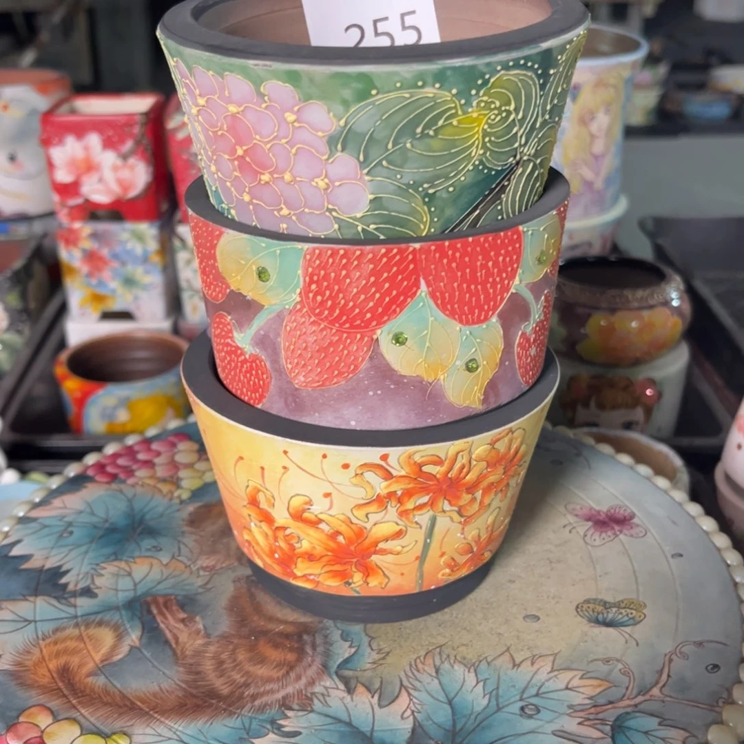 多***亿255多肉花盆45元3个