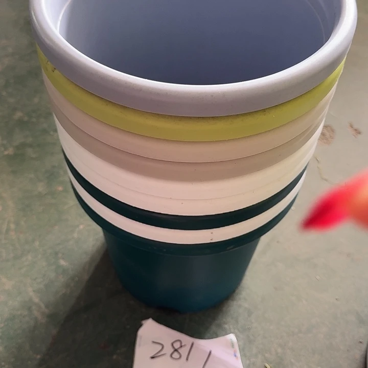 编号编号编号2817