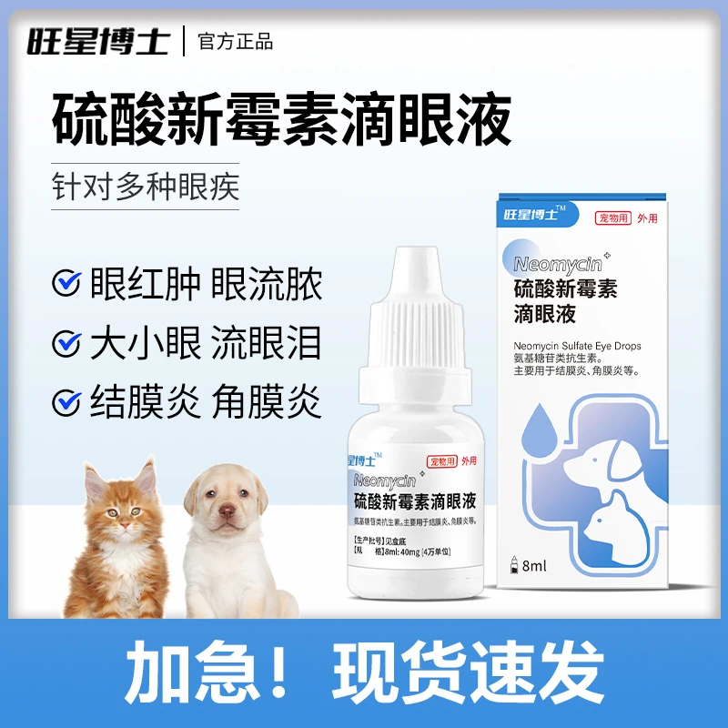 硫酸新霉素滴眼液猫咪眼睛流泪有分泌物红肿消炎结膜炎猫咪眼药水