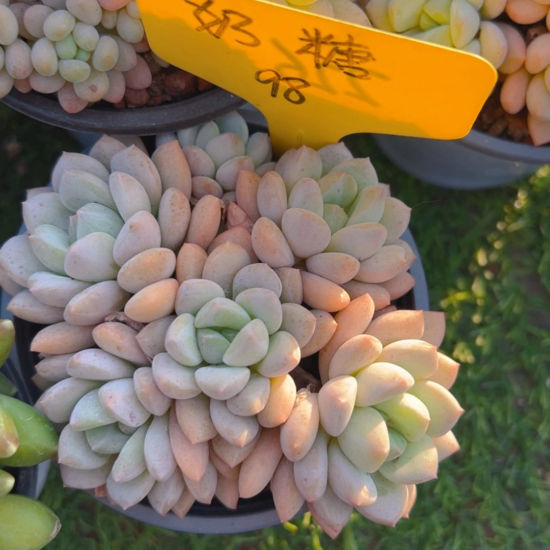 福利来了来了来了来啦