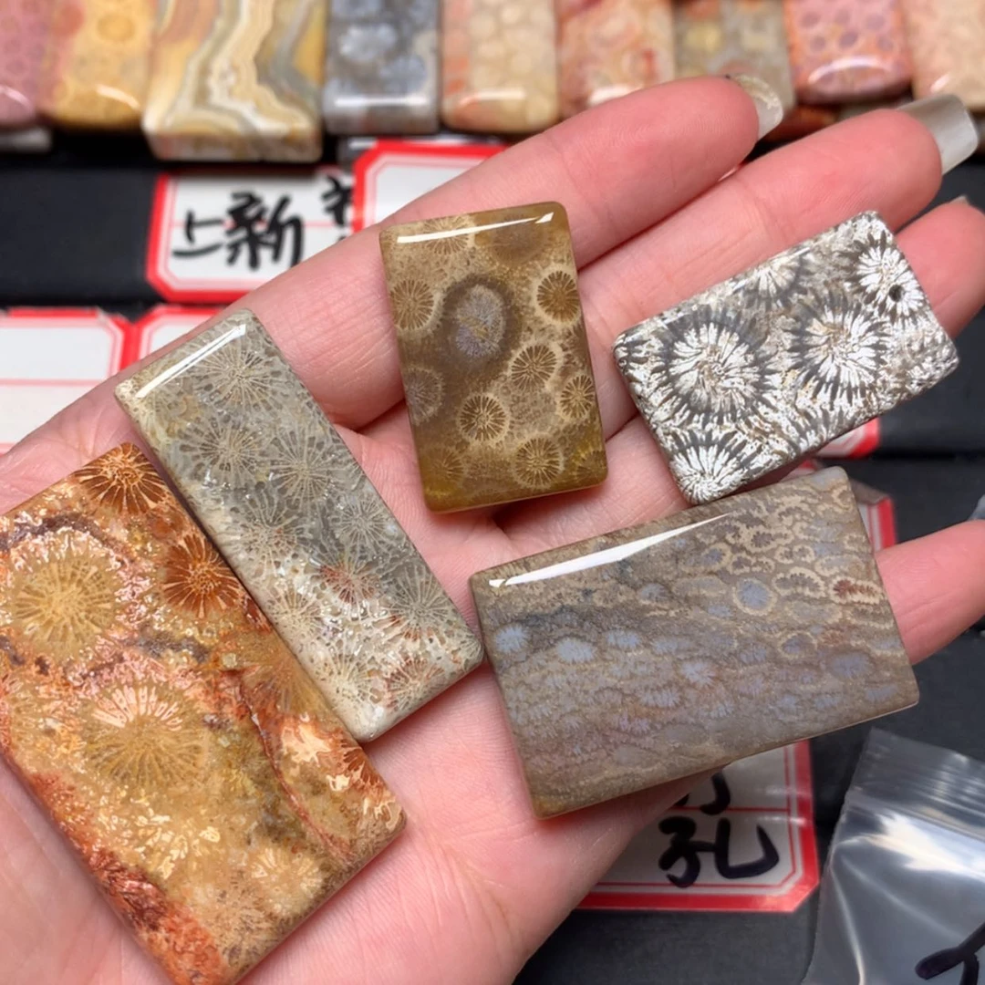 【闪购商品】未镶嵌颈饰硅化玉暴****猪