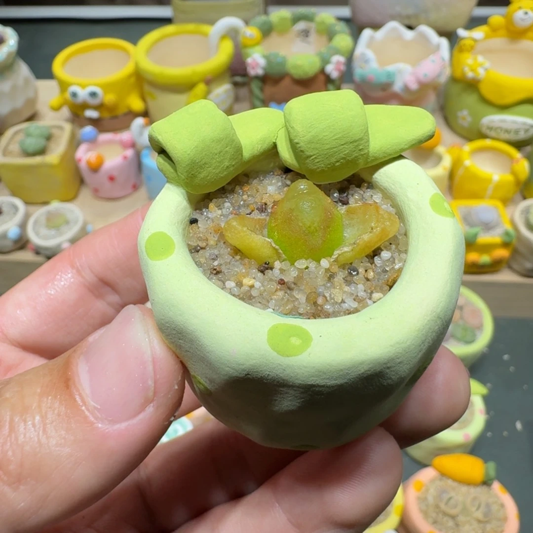 红陶蘑菇404毛汉尼