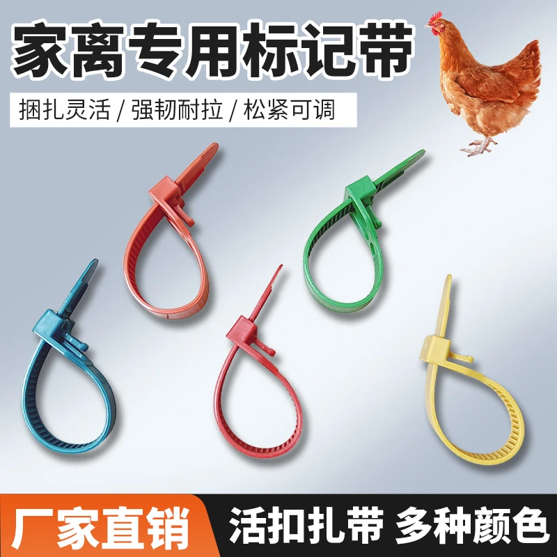 活禽鸡鸭鹅脚圈加厚加宽记号标记带松紧可调可重复使用