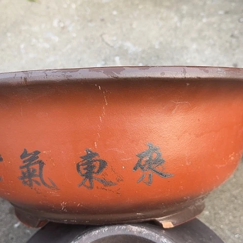 紫砂40大红花哦花盆