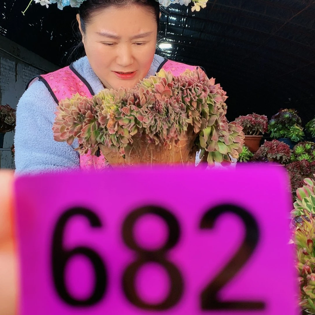 sssssssssssssssssssssss682