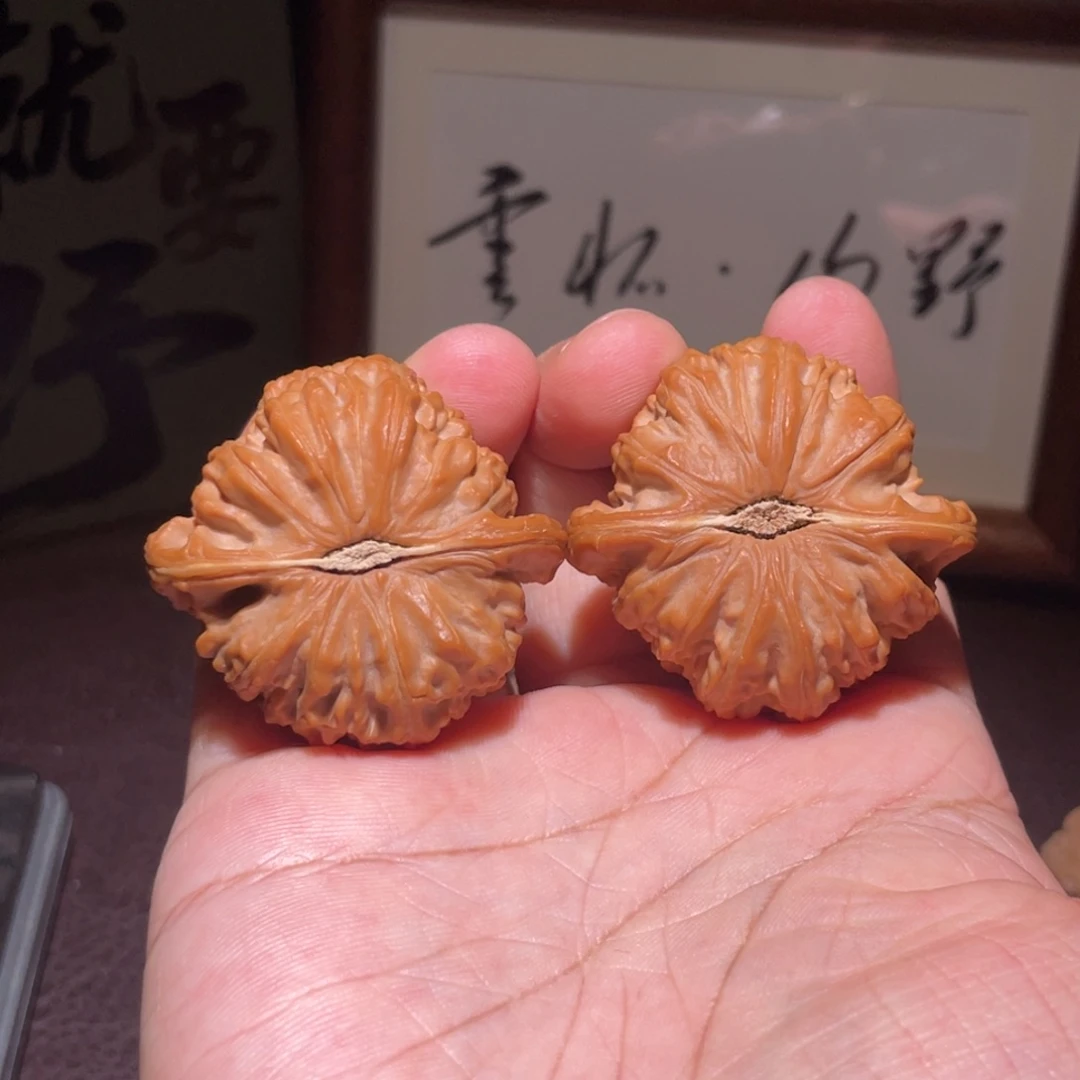 林***。文玩核桃全品白狮子44