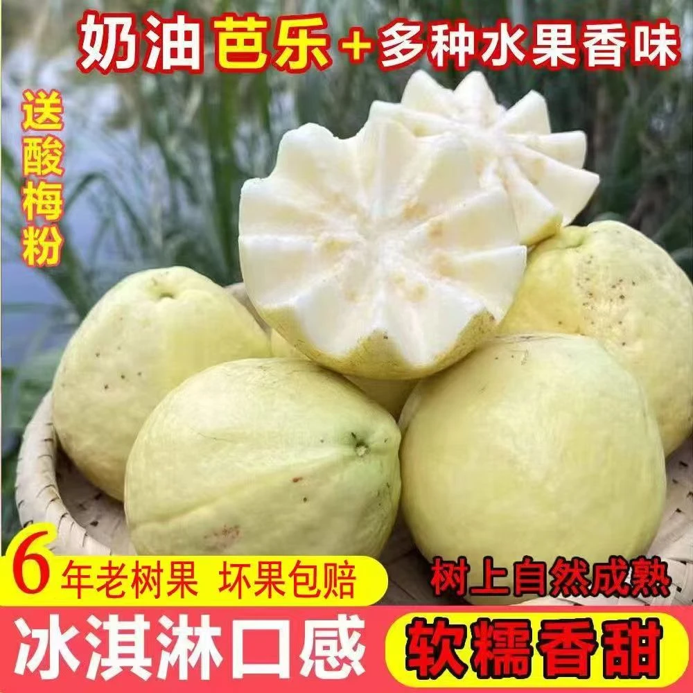 软芭乐精品软糯香甜白心奶油软心冰淇淋口感新鲜应季